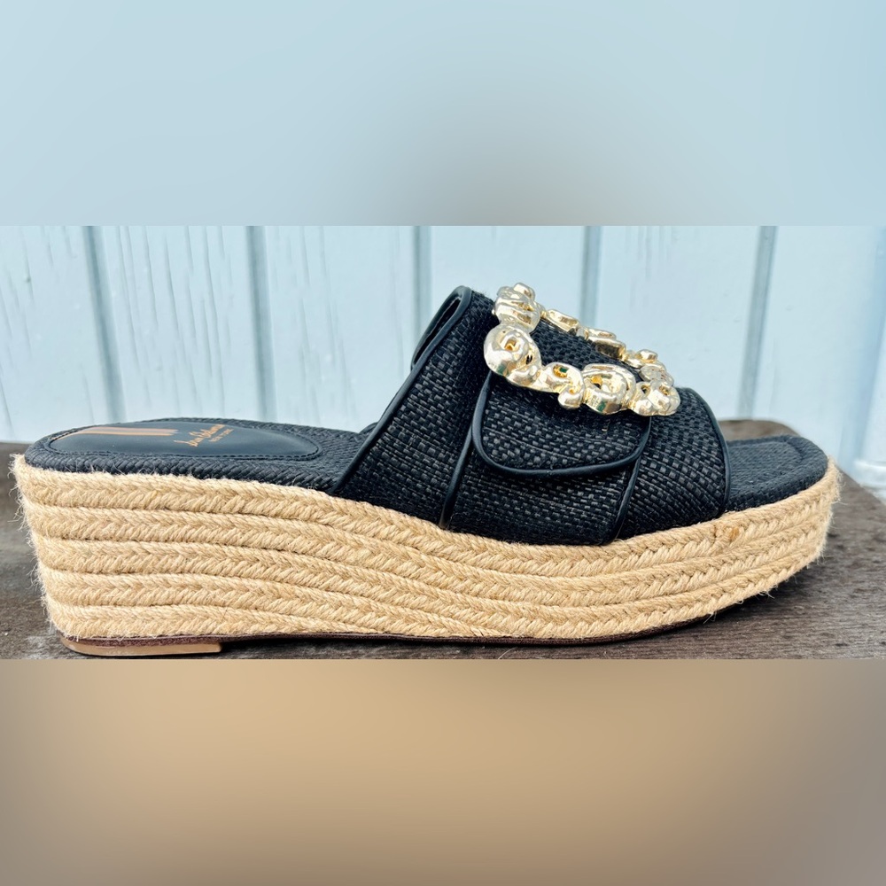 Sam Edelman Black Woven Wedges with Gold Embellishments